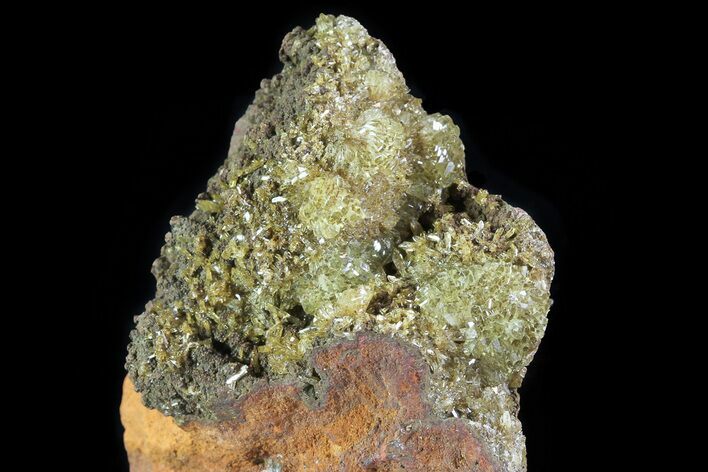Yellow-Green Adamite Crystals - Durango, Mexico #65314